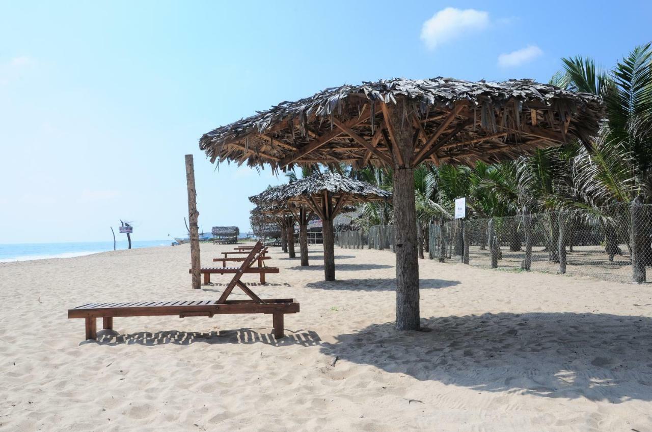Mithra Paradise Beach Hotel Nilaveli Zewnętrze zdjęcie